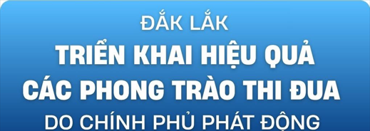 Triển khai hiệu quả các phong trào thi đua do chính phủ phát động